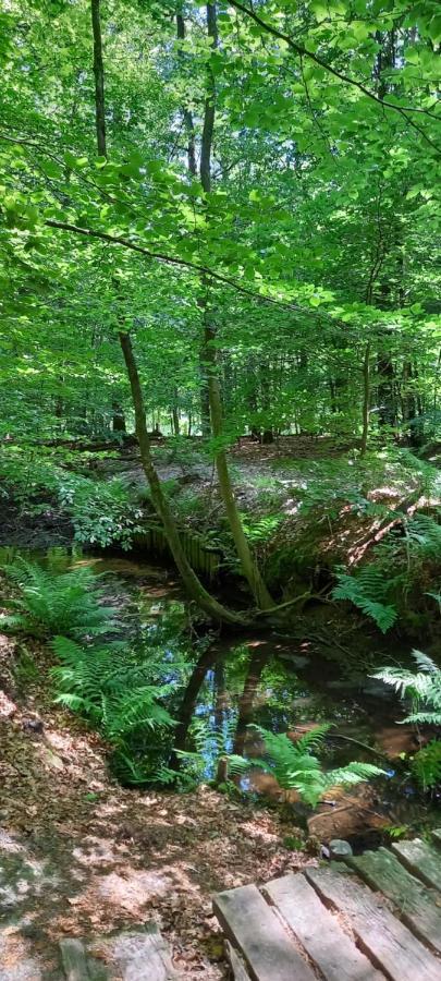 Onder De Eik Villa Ermelo Kültér fotó